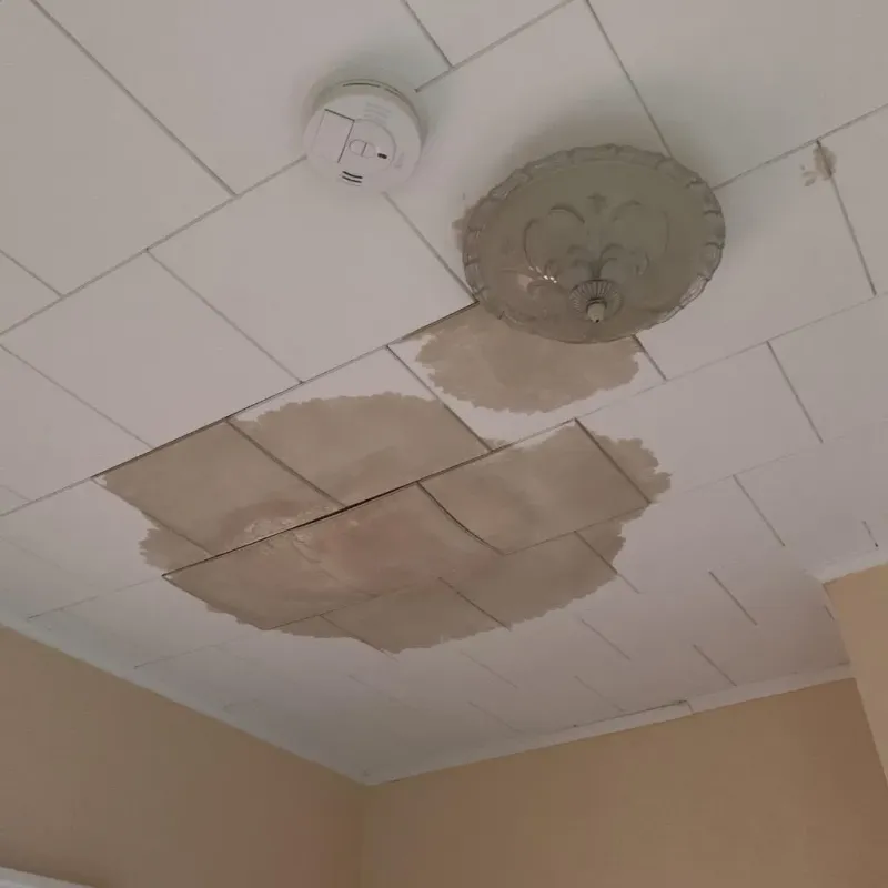 Ceiling Water Damage Repair in Saint Francis, MN