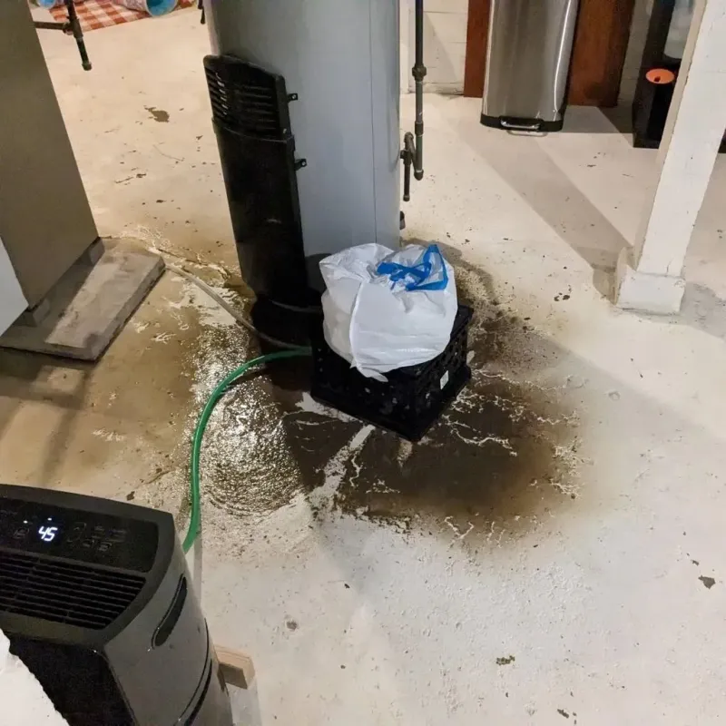 Sewage Backup Cleanup Service in Saint Francis, MN